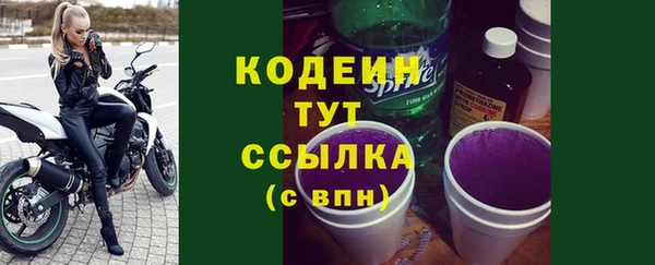 apvp Иннополис