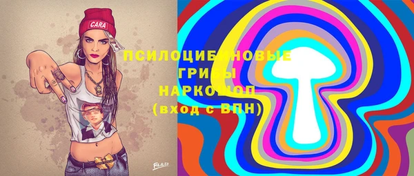 амф Инсар