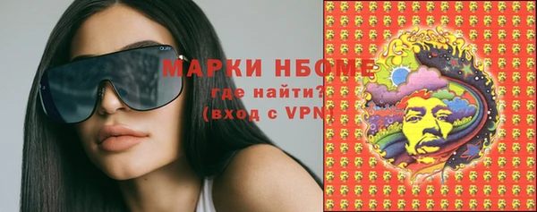 apvp Иннополис
