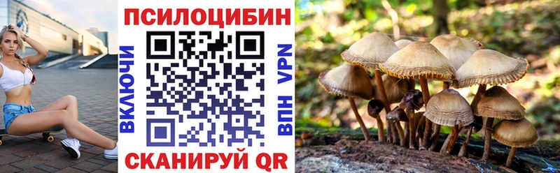 Псилоцибиновые грибы Psilocybine cubensis Нижневартовск